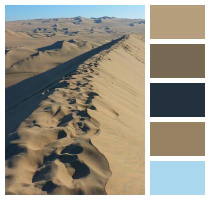 Sand Dunes Dune Ridge Desert Image